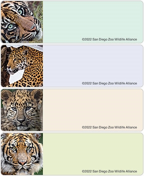 San Diego Zoo Kat Kraze Address Labels