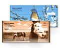 Animals Checks