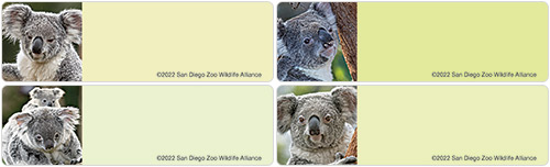 Animal Address Labels | American Bank Checks Animal Address Labels | American Bank Checks