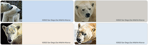 Animal Address Labels | American Bank Checks Animal Address Labels | American Bank Checks