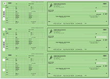 Safety Green Payroll Hourly Checks