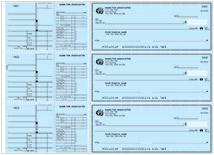 Safety Blue Payroll General Checks Thumbnail