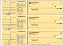 Safety Yellow Payroll General Checks Thumbnail