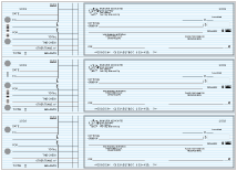 Safety Blue General Purpose Checks