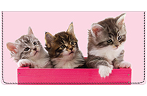 Precious Kittens Checkbook Cover