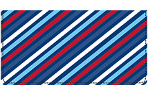 Fireworks Checkbook Cover