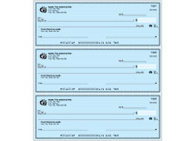 Safety Blue Business Register Checks
