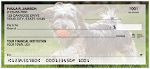 Havanese Checks Thumbnail