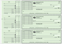 Safety Green Long Voucher Checks