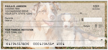 Australian Shepherd Checks Thumbnail