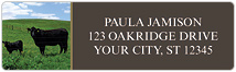 Black Angus Cows Address Labels